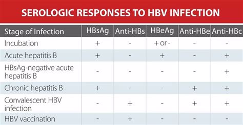 what does hep c virus ab 0.1 results mean|Understanding Hepatitis C Blood Test Results .